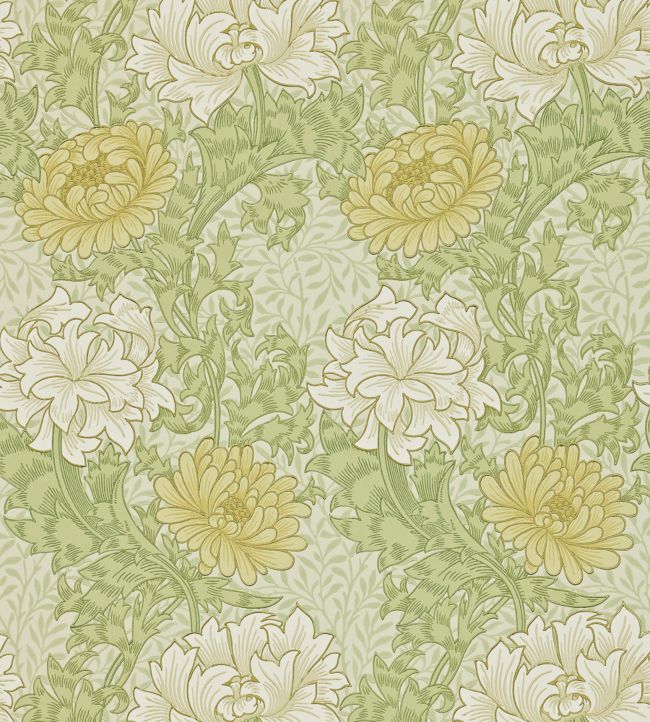 Chrysanthemum Wallpaper Pale Olive 212545 Morris Co Morris chrysanthemum-wallpaper-pale-olive-212545-morris-co-morris