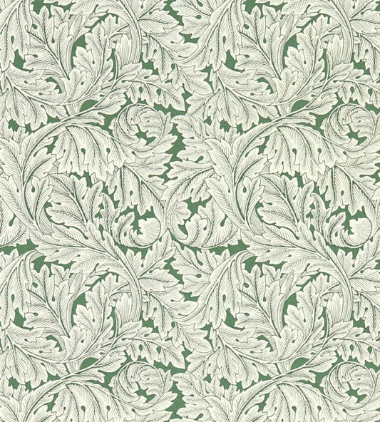 Acanthus Wallpaper - Sage - W0175/01- Clarke & Clarke